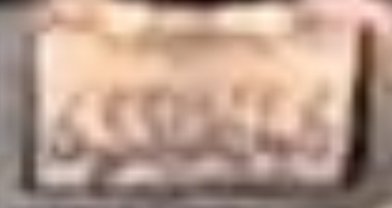 1000013033.jpg