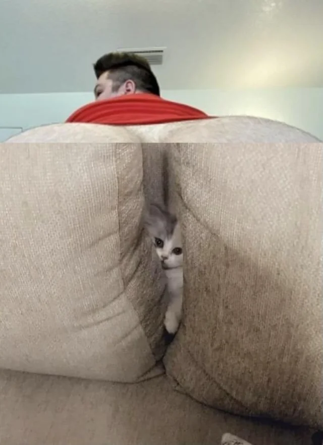 1744760711145.png