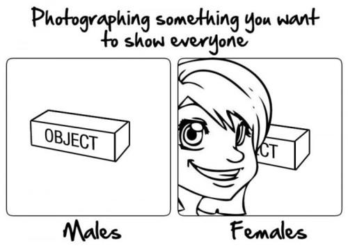 1745259330321.jpeg