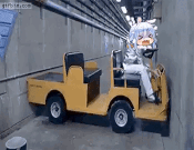 7cafd5b029d2dfc7-ezgif.com-resize.gif