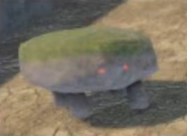 cute rock.jpg