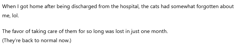 24245.png