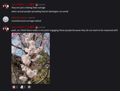 Discord_9NCr76VyMR.png