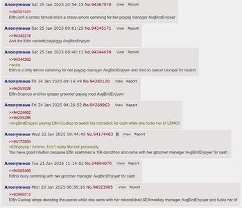 avgbirdenjoyer.jpg