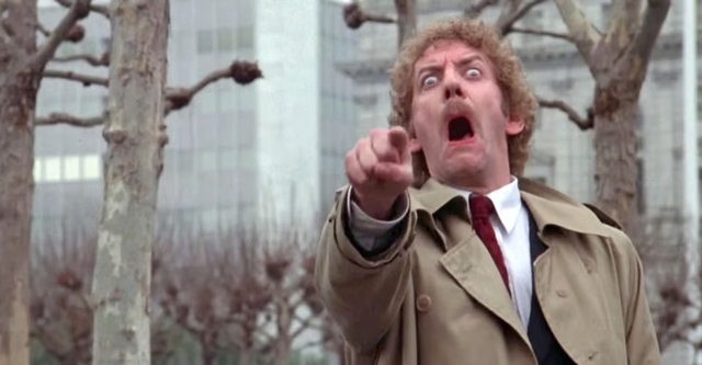 invasion-of-the-body-snatchers-horse-cropped-fr-1676056717.png
