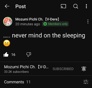 Screenshot_20250215_033332_YouTube.jpg